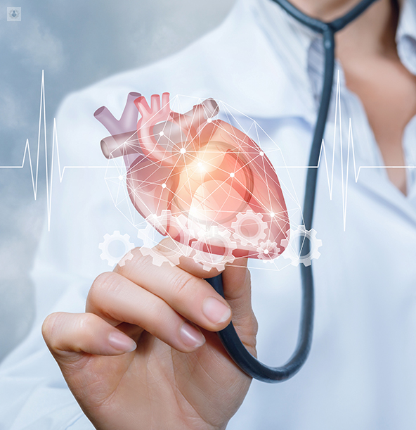 Imagen que representa a la categoría Cardiologia