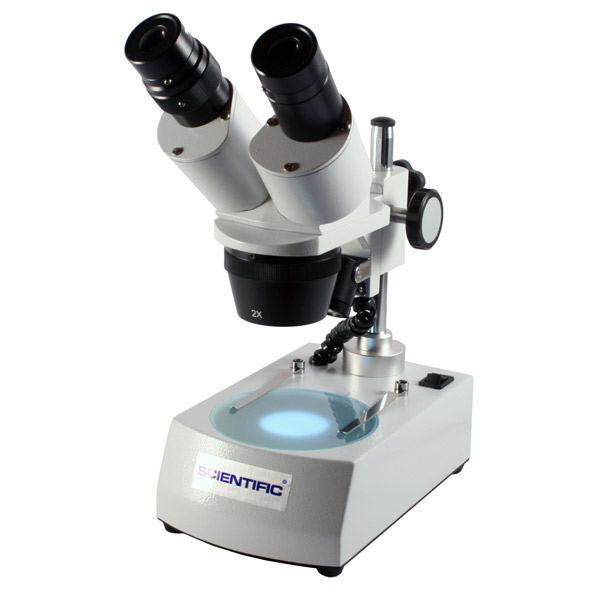 Estereomicroscopio Profesional Scientific 20X-40X LED