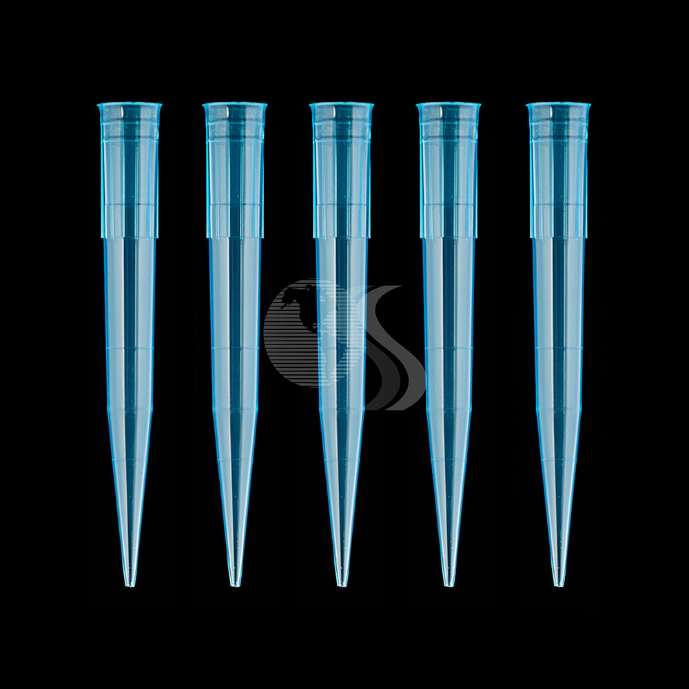 Puntas Azules
