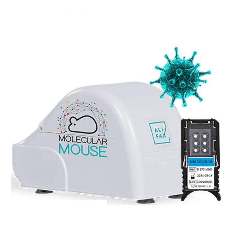 Sistema de Biología Molecular Molecular Mouse